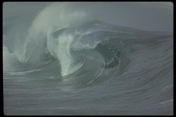 178078 Curling Wave A4 Photo Print