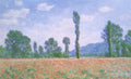 179 Poppy Field At Giverny 1890 A4 Photo Print