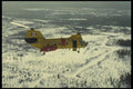 179017 Labrador A4 Photo Print