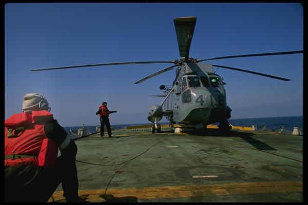 179026 Sea King A4 Photo Print