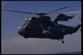 179032 Sea King A4 Photo Print
