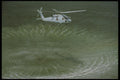 179056 Sikorsky Seahawk SH 60F A4 Photo Print