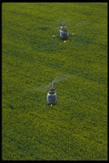 179089 Kiowa (bottom); BK 105 (top) A4 Photo Print