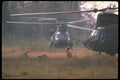 179093 Boeing CH 47D Chinook A4 Photo Print