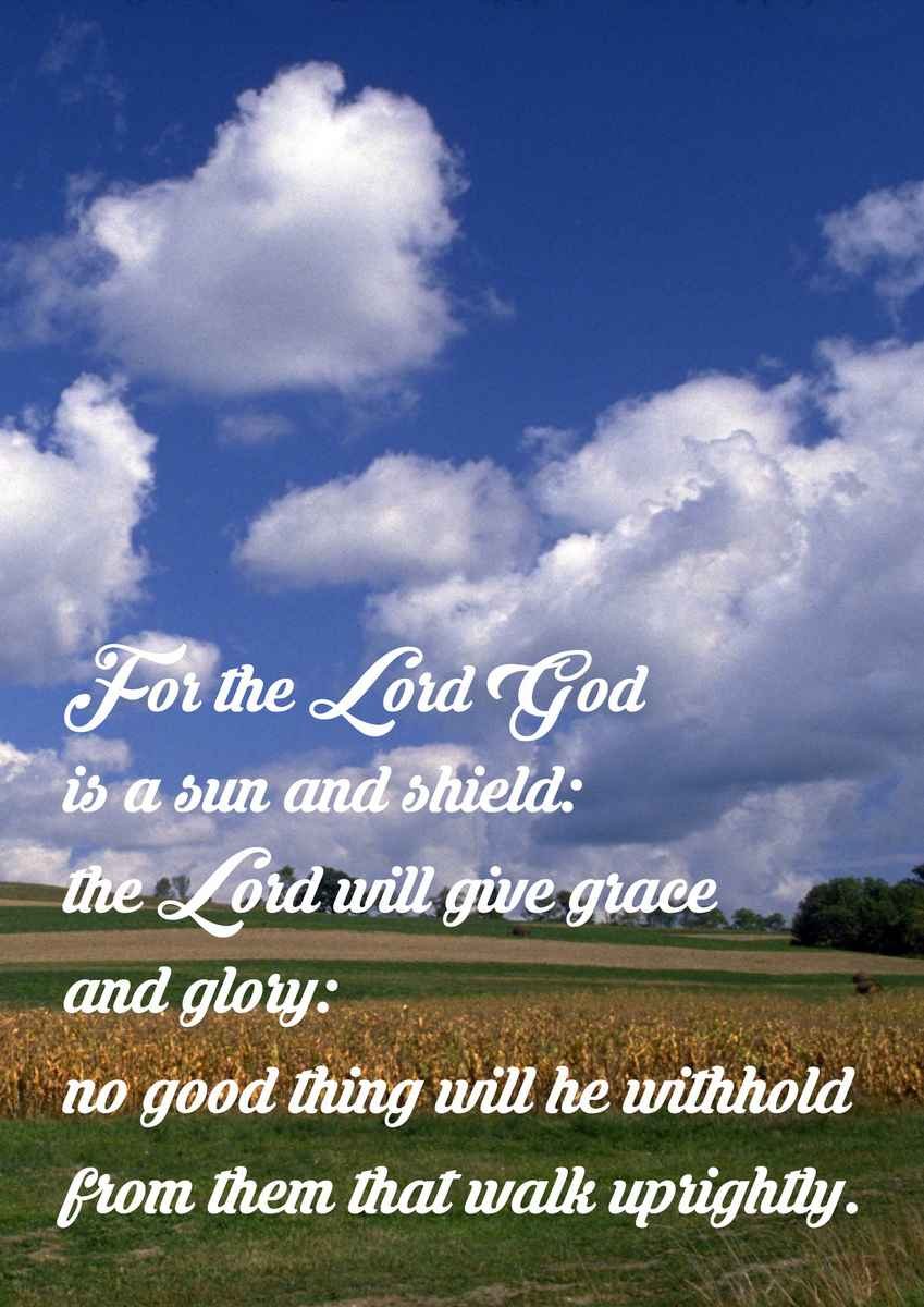 Saying Blessed are they whose iniquities are forgiven and whose sins are covered A4 photo print 