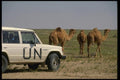 180014 UN Land Cruiser A4 Photo Print