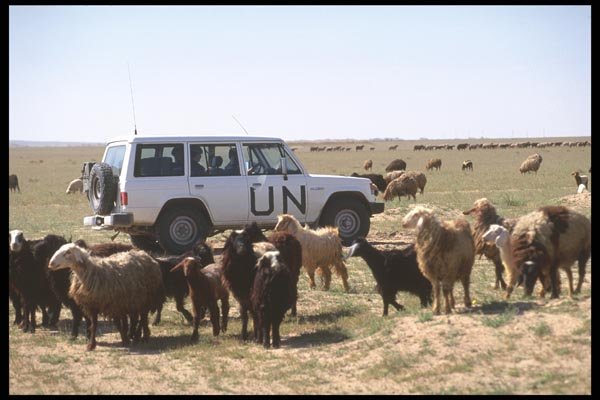 180050 UN Land Cruiser A4 Photo Print