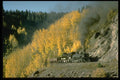 182020 Aspens In The Fall Contrast With No. 489 Near Coxo, C&TSRR A4 Photo Print