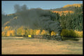 182029 C&TSRR Freight Nears Weed City A4 Photo Print
