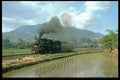 182033 CC5003 Passes Paddy Fields With Its Light Load For Bandung, Java A4 Photo Print