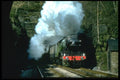 182059 Flying Scotsman Caught Between Tunnels At Barons Wood, S&C A4 Photo Print
