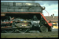 182061 American Built Skyliner Poses For The Camera At Cankiri, Turkey A4 Photo Print