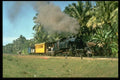 182063 C3093 Ambles Through The Palms With A Mixed Train For Pasabaru A4 Photo Print