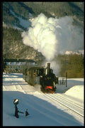 182080 298.25 Leaves Leonstein With A Train For Molin A4 Photo Print