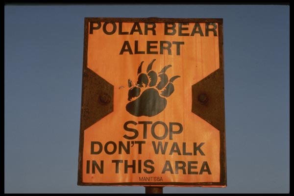 183000 Polar Bear Safety Sign, Churchill, Manitoba A4 Photo Print