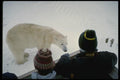 183044 Tourists And Bear A4 Photo Print