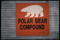 183047 Polar Bear Jail, Churchill, Manitoba A4 Photo Print