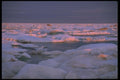 184014 Icebergs And Pack Ice, Ellesmere Island, N.W.T. A4 Photo Print