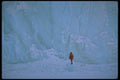 184016 Person And Iceberg Wall, Ellesmere Island, N.W.T. A4 Photo Print