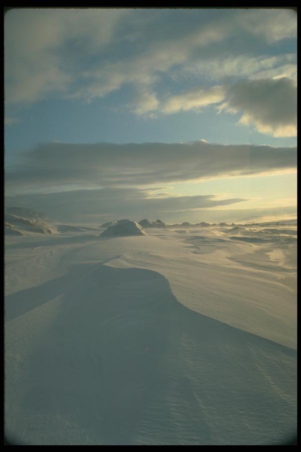 184025 Ice And Wind Storm A4 Photo Print