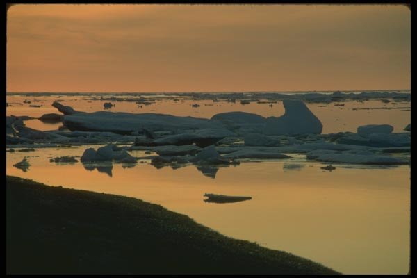 184032 Ice Pans, Northwest Passage, N.W.T. A4 Photo Print