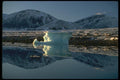 184033 Ice Pan, Evening Light, N.W.T. A4 Photo Print