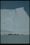 184039 Dogteams And Icebergs A4 Photo Print