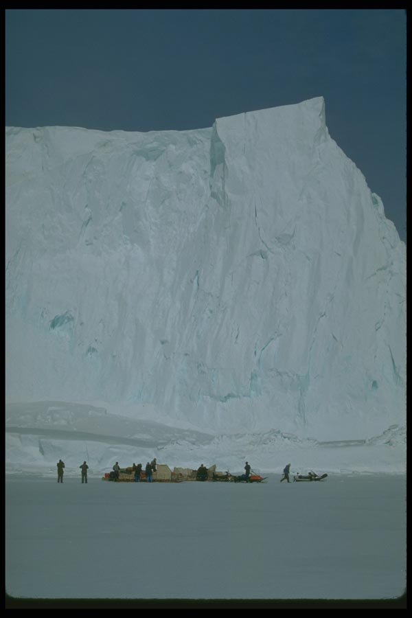 184039 Dogteams And Icebergs A4 Photo Print