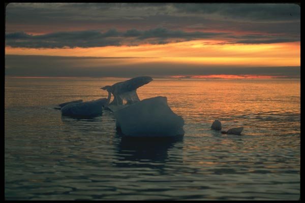 184053 Ice Pans In Sunset A4 Photo Print