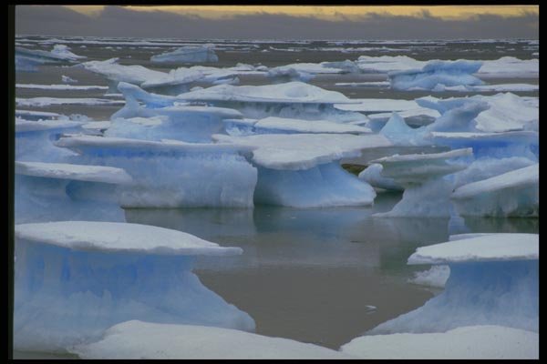 184062 Ice Pans, Low Tide, N.W.T. A4 Photo Print