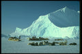 184063 Dogteams And Icebergs, Northwest Passage A4 Photo Print