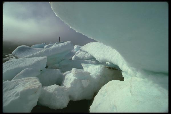 184064 Person And Pack Ice, N.W.T. A4 Photo Print