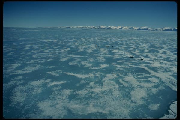 184091 Sea Ice Expanse, Greenland A4 Photo Print