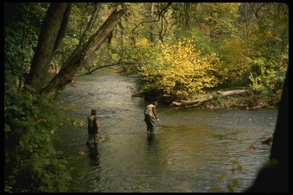 185001 Autumn Fly fishing A4 Photo Print