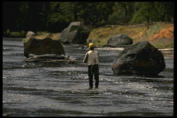 185006 Western Trout Fishing A4 Photo Print