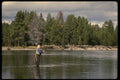 185008 Western Trout Fishing A4 Photo Print
