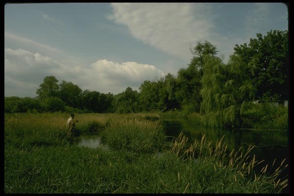 185011 Trout Fishing On Pennsylvania's World Famous Letort A4 Photo Print