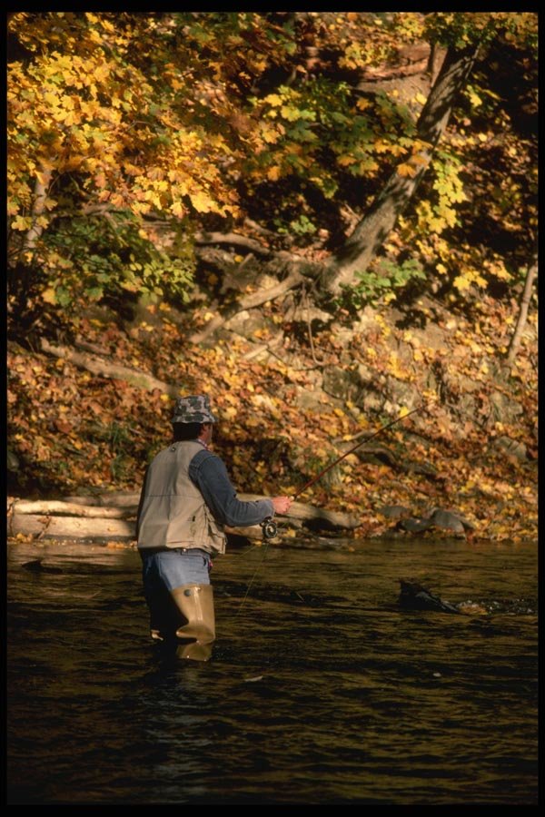 185013 Autumn Fly fishing A4 Photo Print