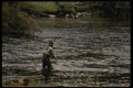185015 Western Trout Fishing A4 Photo Print