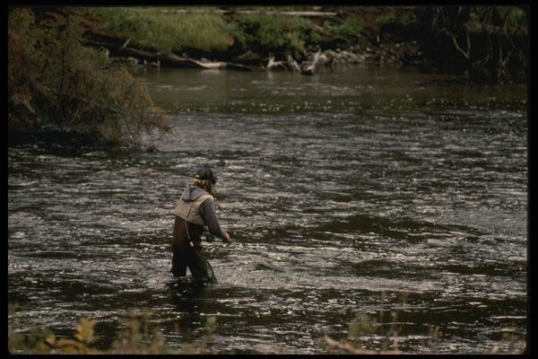 185015 Western Trout Fishing A4 Photo Print
