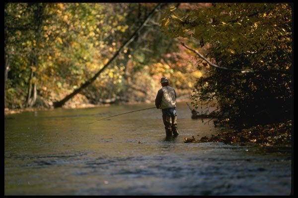 185034 Autumn Fly fishing A4 Photo Print