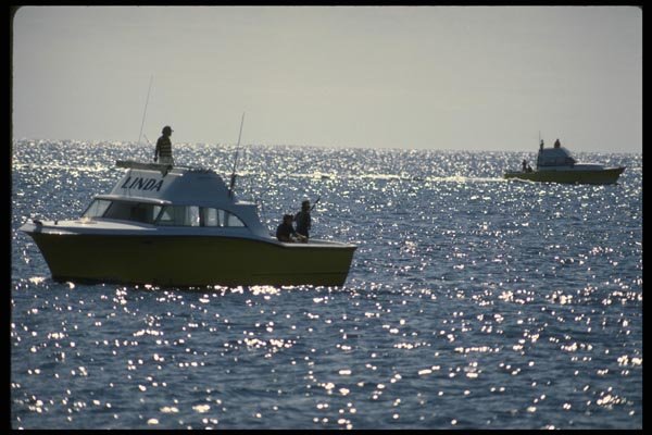 185035 Marlin Boat A4 Photo Print