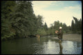 185037 Salmon Fishing A4 Photo Print