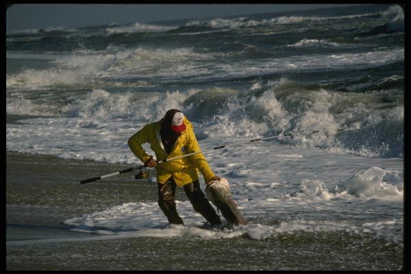 185039 Surf Fisherman Landing Big Red Drum A4 Photo Print