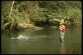 185041 Angler Plays Big Fish A4 Photo Print