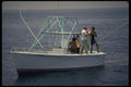 185043 Happy Anglers Show Freshly Caught White Marlin A4 Photo Print