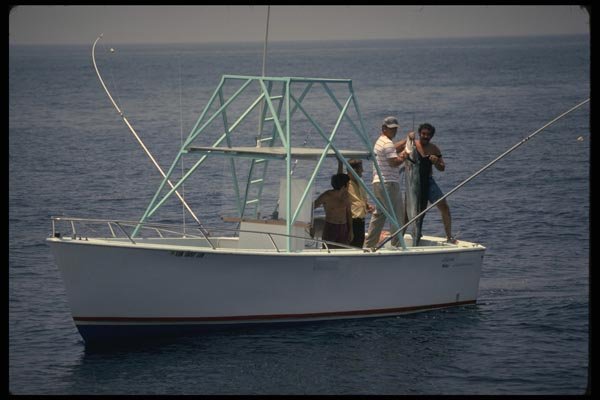 185043 Happy Anglers Show Freshly Caught White Marlin A4 Photo Print