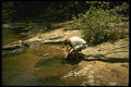 185049 Fisherman By Waters Edge A4 Photo Print