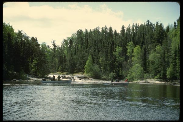 185052 Anglers Fish Wilderness River A4 Photo Print