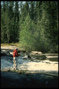 185053 Angler Fishes Foaming Rapids A4 Photo Print
